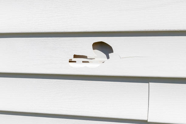 Affordable siding repair and maintenance services in Monrovia, CA