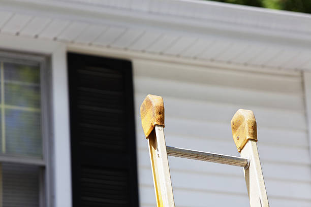 Best Brick Veneer Siding  in Monrovia, CA