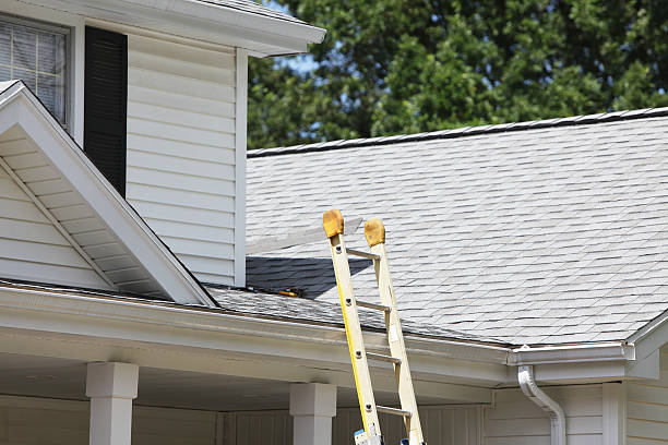 Best Historical Building Siding Restoration  in Monrovia, CA